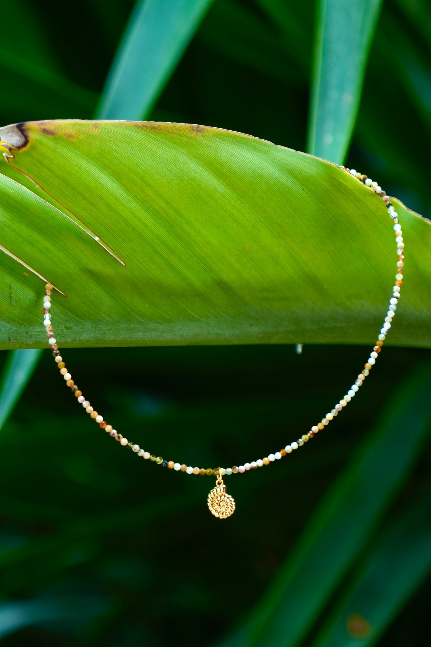 Collar ojo de tigre con charm caracola