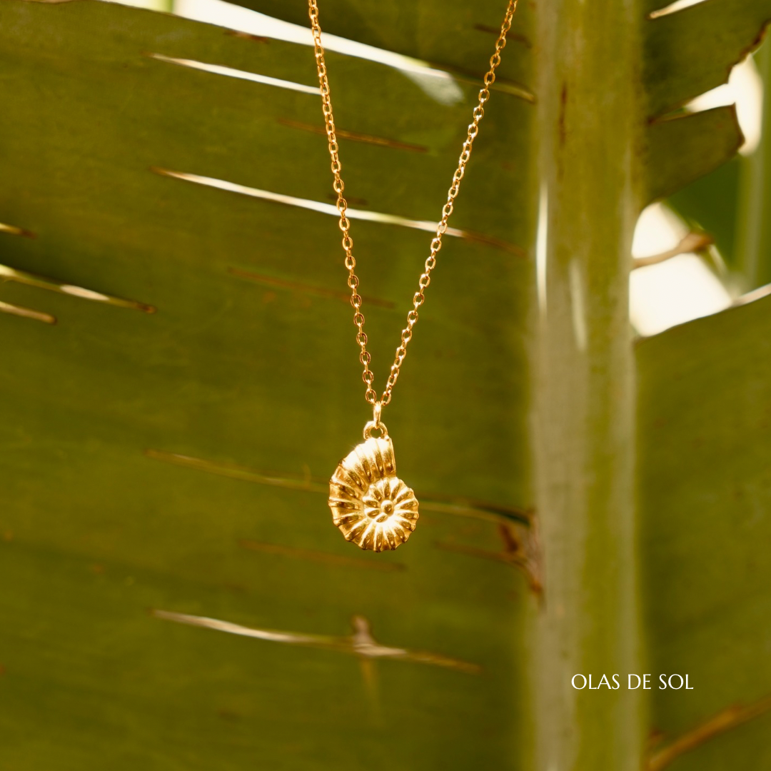 Collar Nautilus - acero inoxidable baño de oro 18k