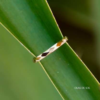 Anillo Elegant - acero inoxidable bañado en oro 18k