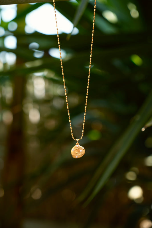 Collar Tesoro escondido
