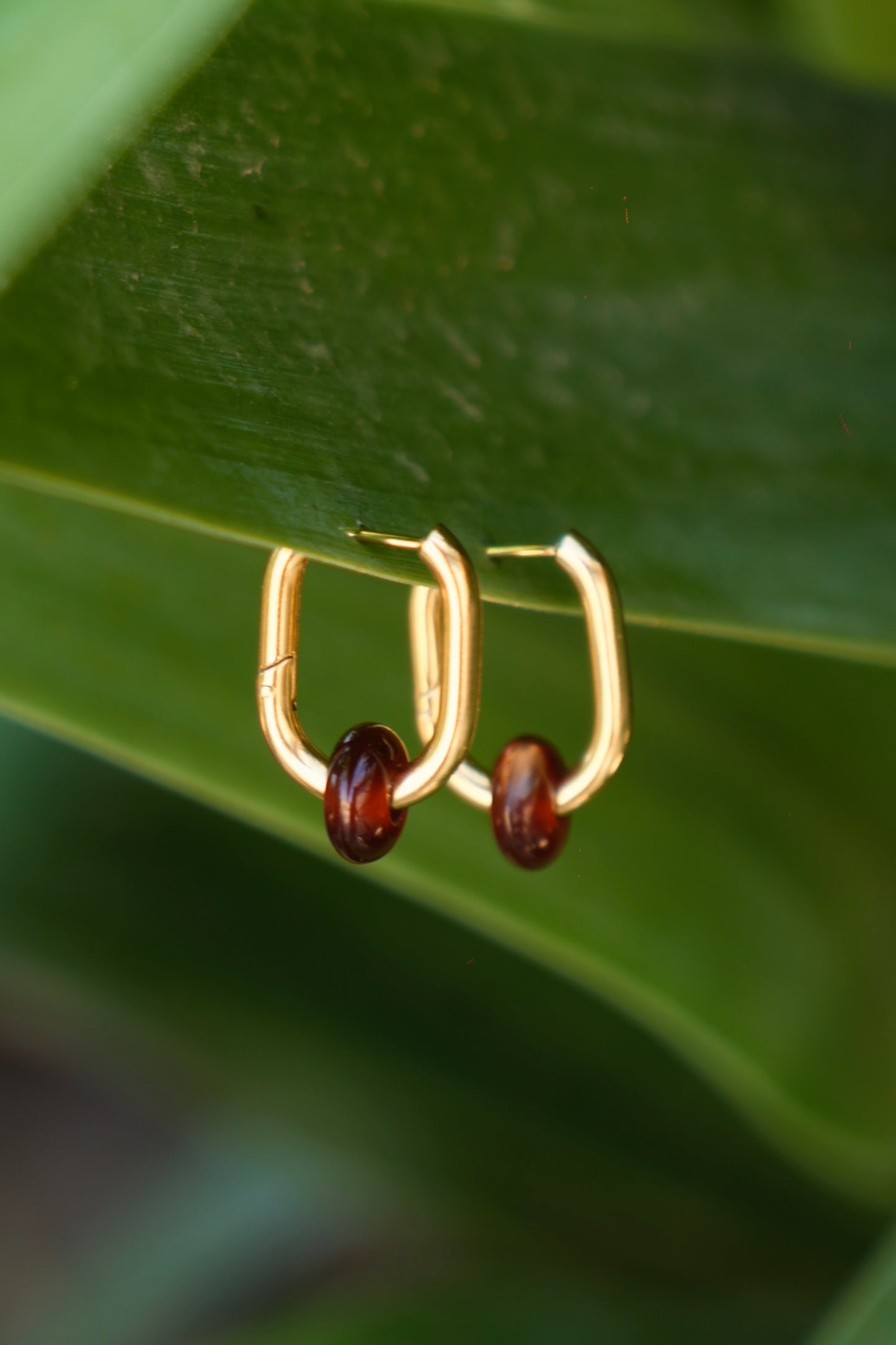 Pendientes Cacao