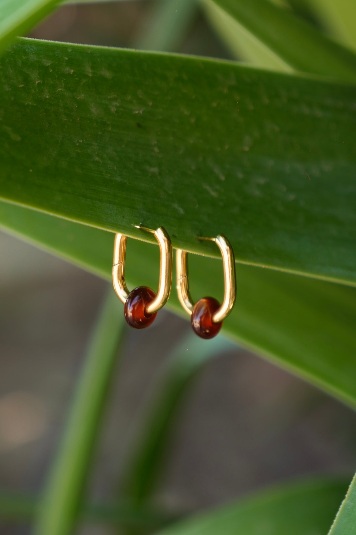 Pendientes Cacao